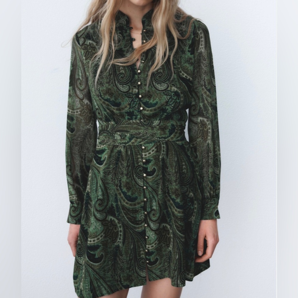 Zara Paisley print button down dress